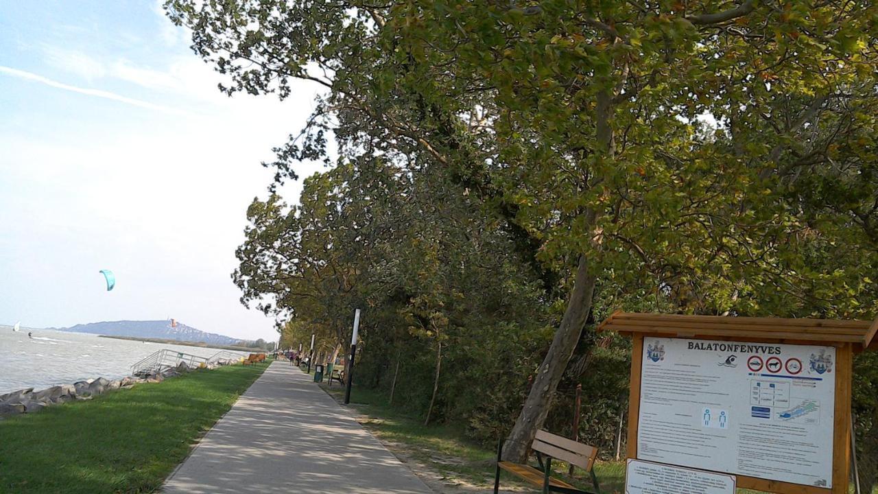 Апартаменты Balatonpart-Lak Балатонфеньвеш Экстерьер фото